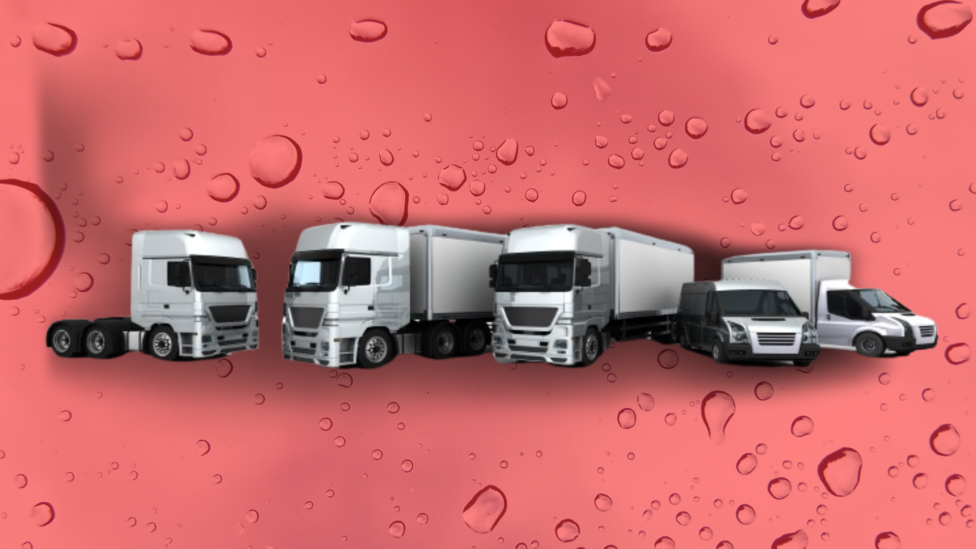 Lavado-flota-de-vehiculos